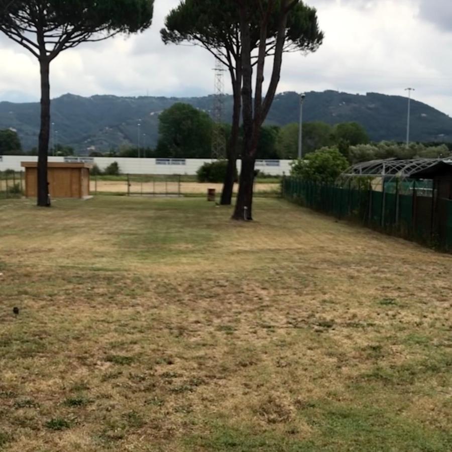 L'Alloggio Del Capitano Viareggio Ngoại thất bức ảnh